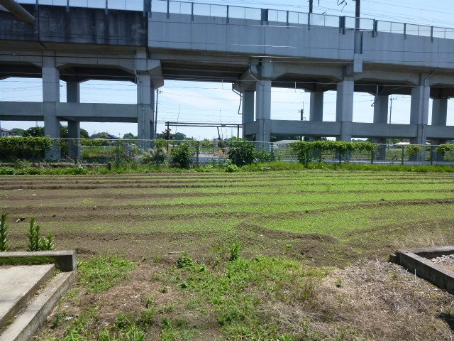 茂原３丁目　宅地